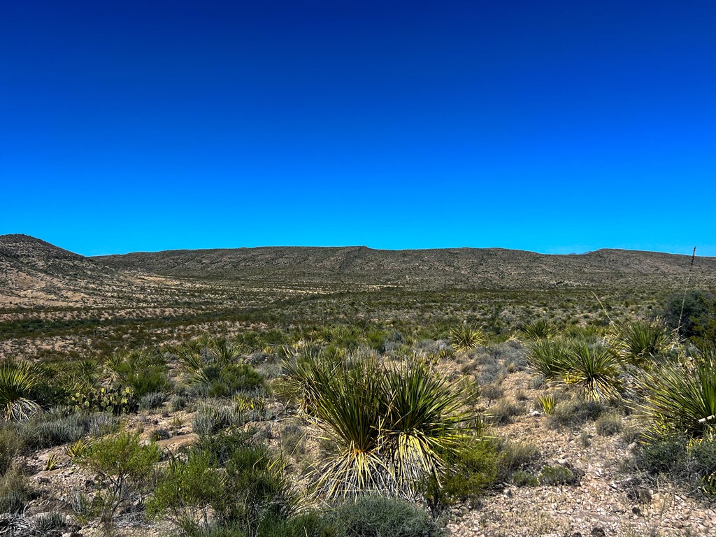 SEC 98 Pepper Rd, Terlingua, Texas image 31