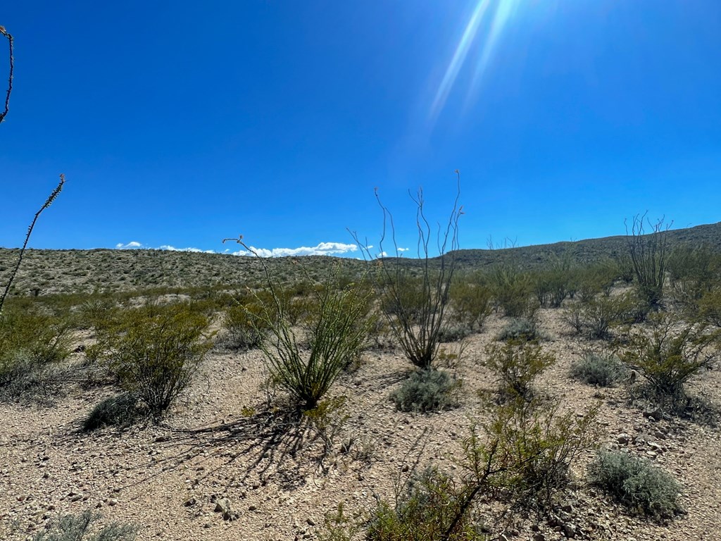 SEC 98 Pepper Rd, Terlingua, Texas image 5