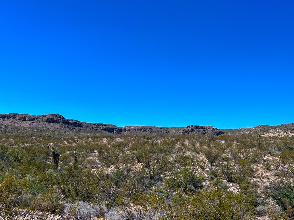 SEC 98 Pepper Rd, Terlingua, Texas image 36