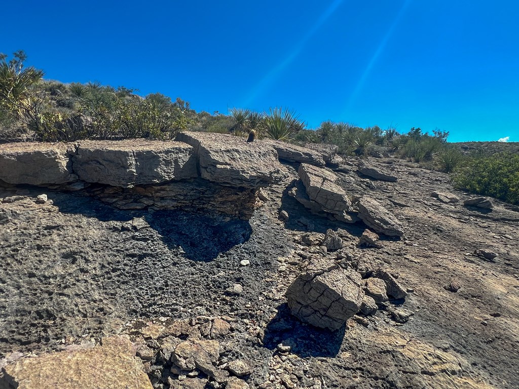 SEC 98 Pepper Rd, Terlingua, Texas image 3