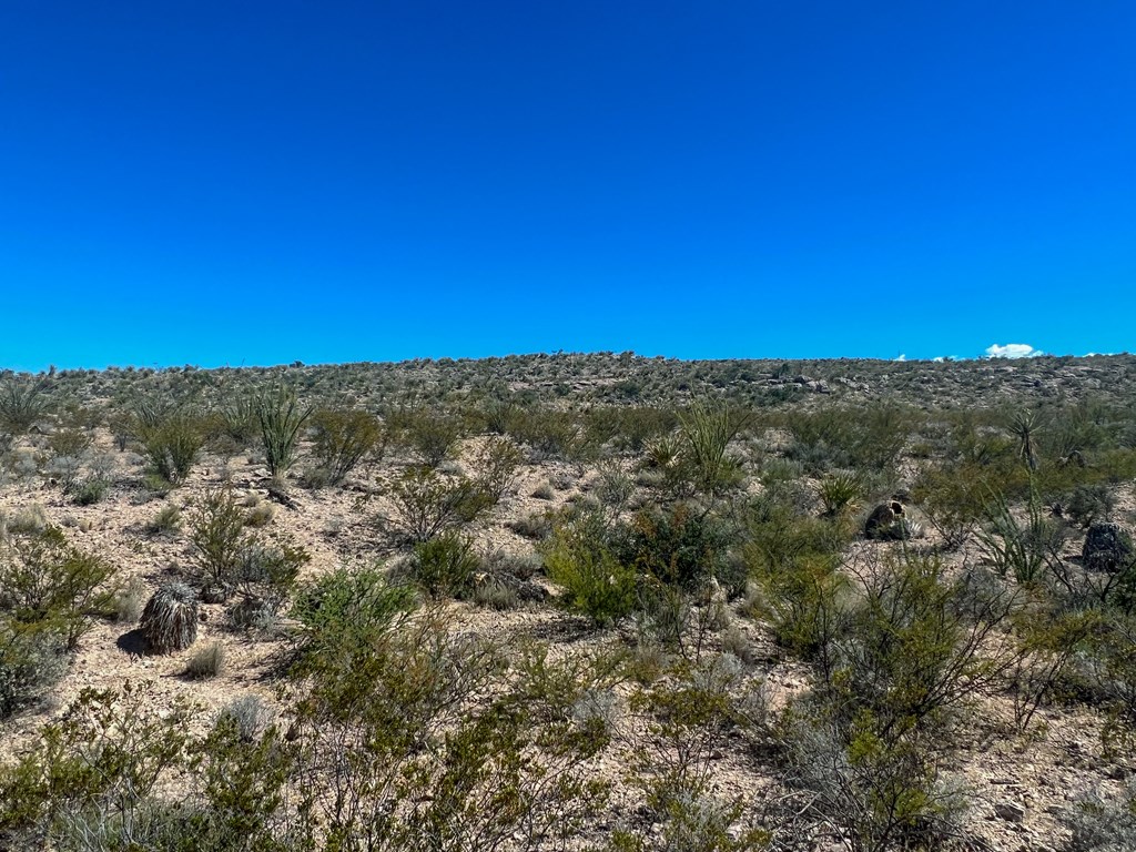 SEC 98 Pepper Rd, Terlingua, Texas image 10