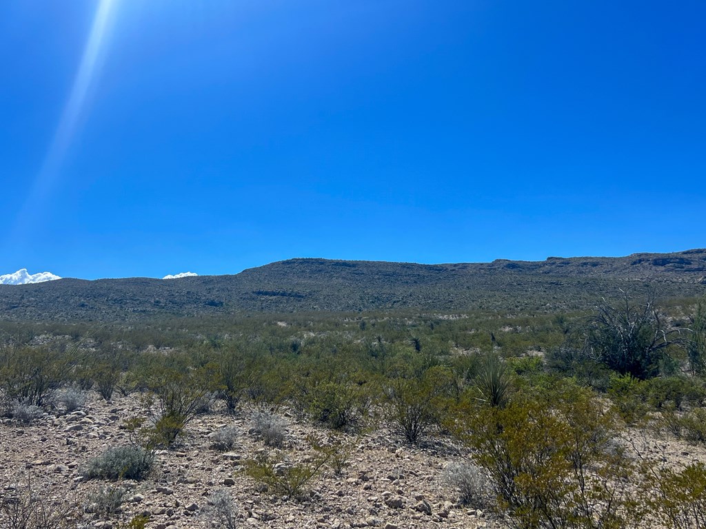 SEC 98 Pepper Rd, Terlingua, Texas image 8