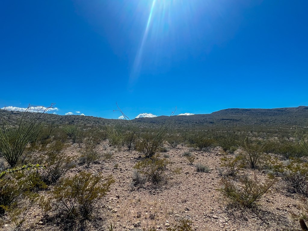 SEC 98 Pepper Rd, Terlingua, Texas image 14