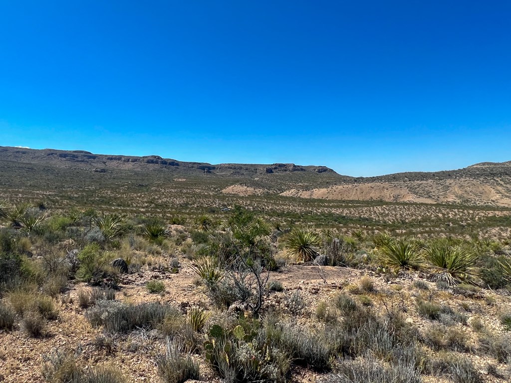 SEC 98 Pepper Rd, Terlingua, Texas image 19