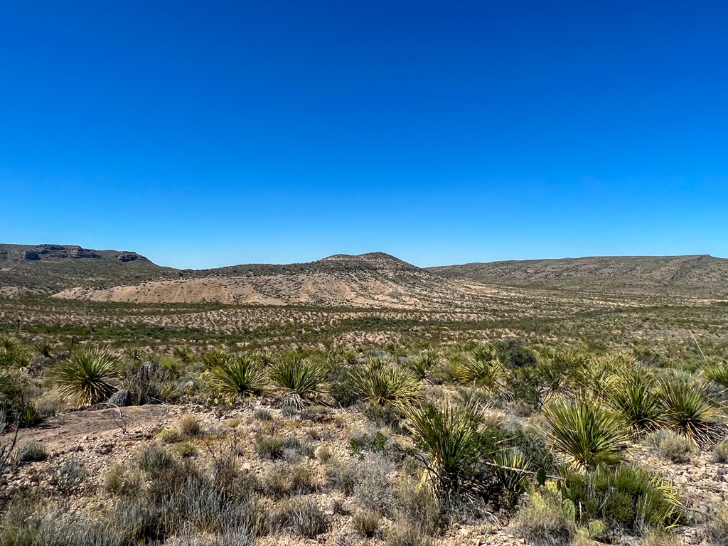 SEC 98 Pepper Rd, Terlingua, Texas image 20