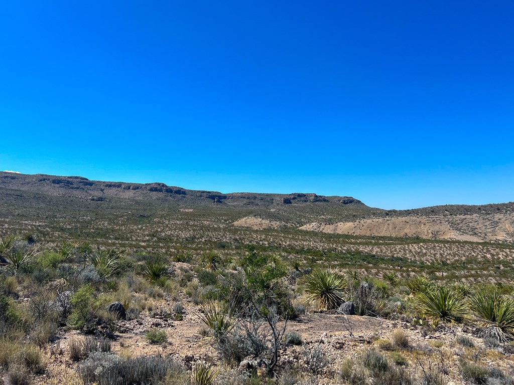 SEC 98 Pepper Rd, Terlingua, Texas image 26