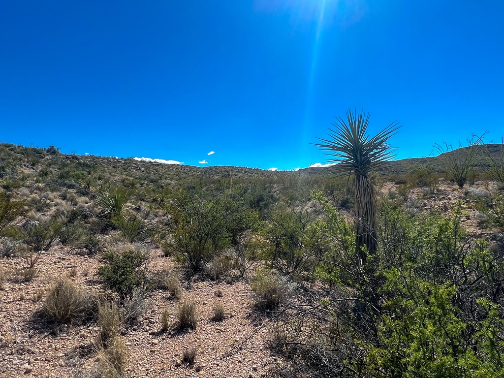 SEC 98 Pepper Rd, Terlingua, Texas image 32