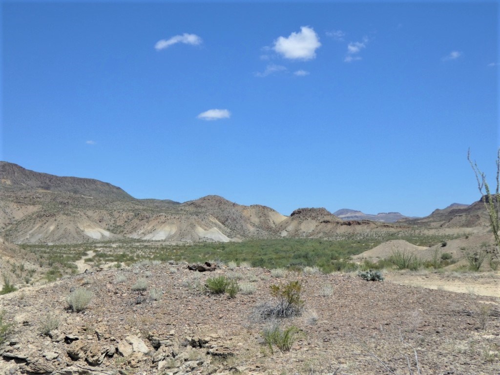 TR: 310 Private Rd, Terlingua, Texas image 6