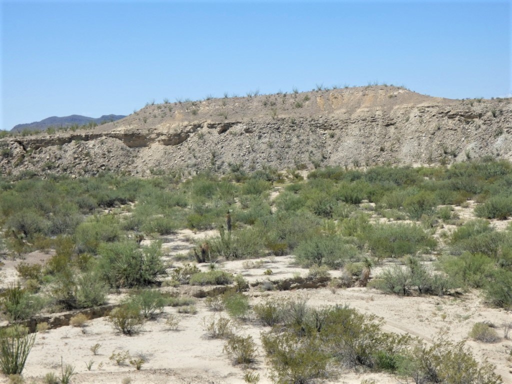 TR: 310 Private Rd, Terlingua, Texas image 11