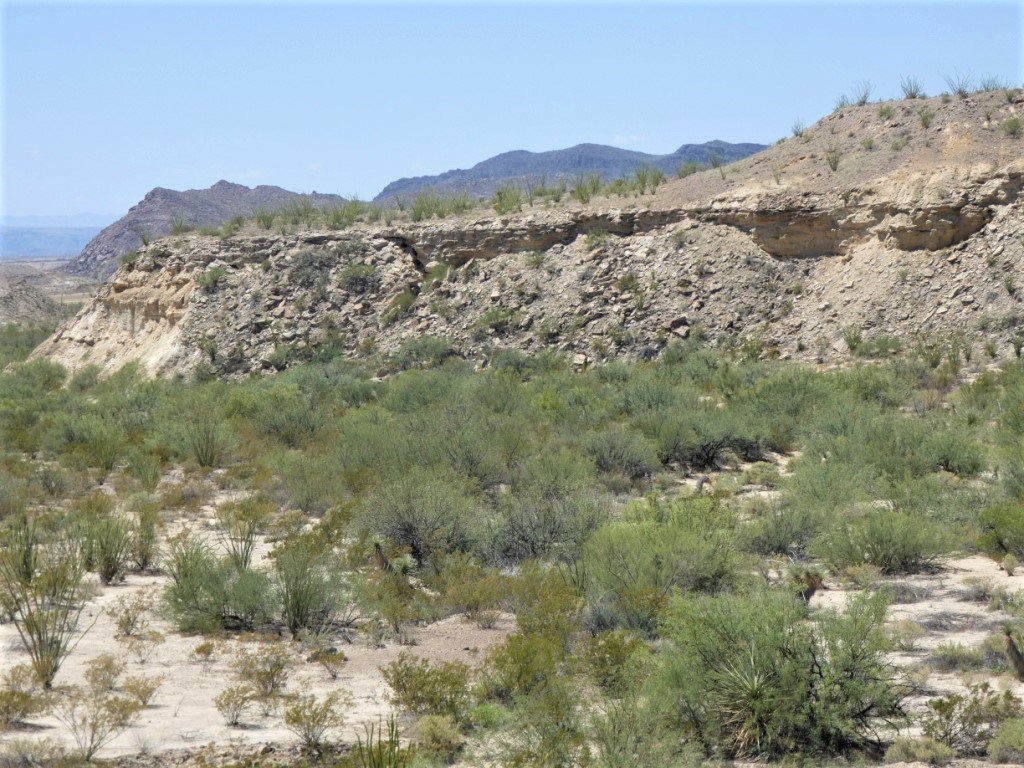 TR: 310 Private Rd, Terlingua, Texas image 12