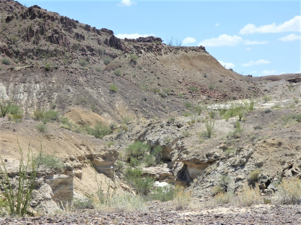TR: 310 Private Rd, Terlingua, Texas image 13