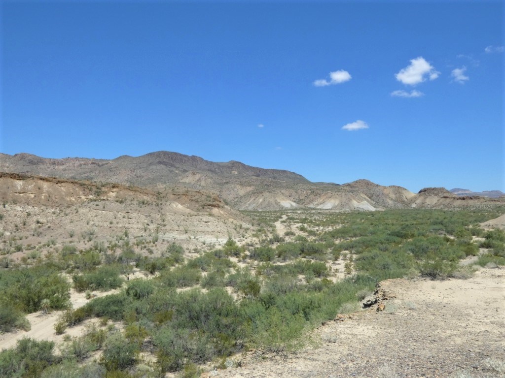 TR: 310 Private Rd, Terlingua, Texas image 9