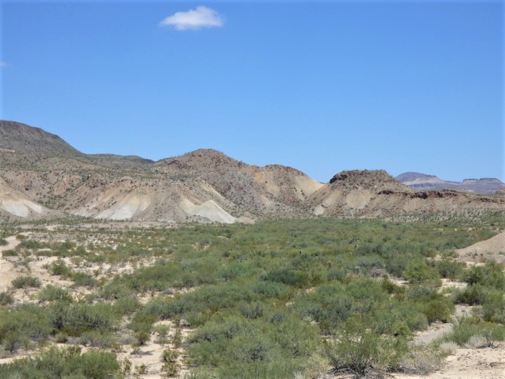 TR: 310 Private Rd, Terlingua, Texas image 8