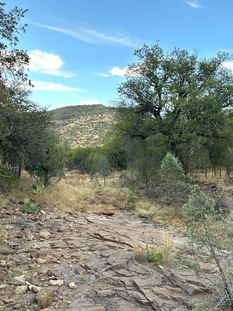 100 Tejano Canyon, Fort Davis, Texas image 8