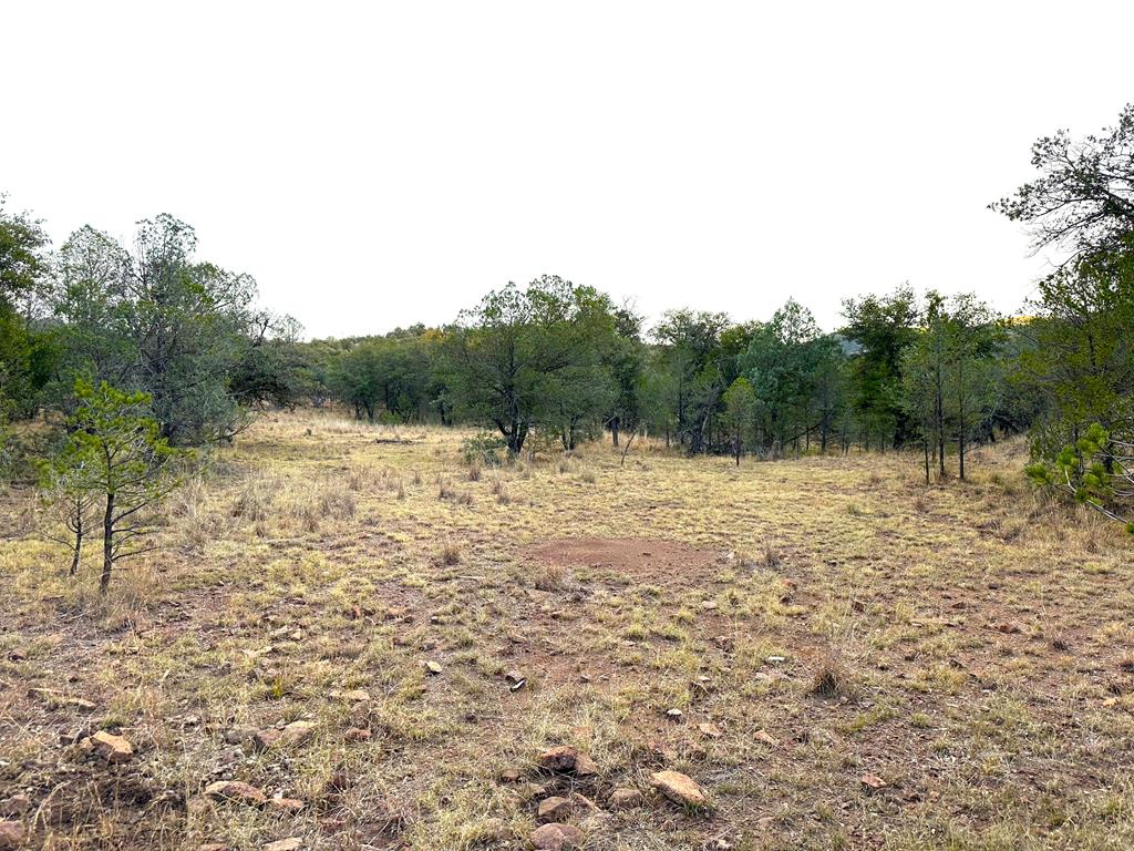 100 Tejano Canyon, Fort Davis, Texas image 6