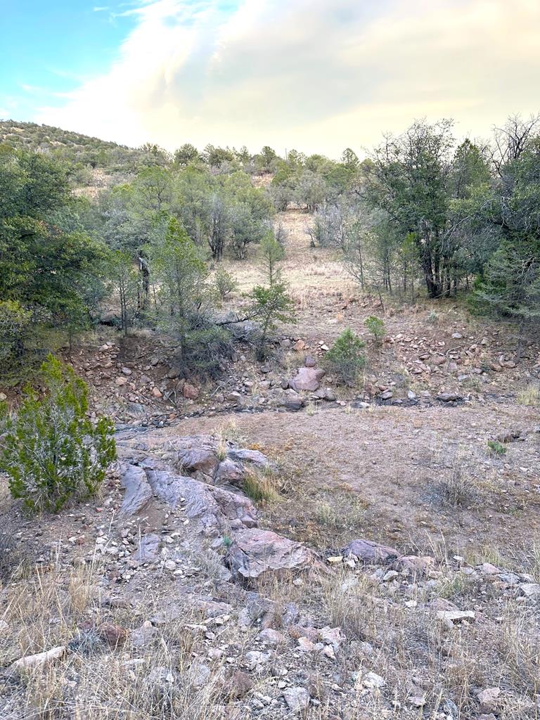 100 Tejano Canyon, Fort Davis, Texas image 9