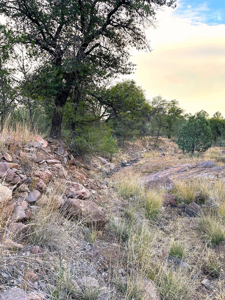 100 Tejano Canyon, Fort Davis, Texas image 7