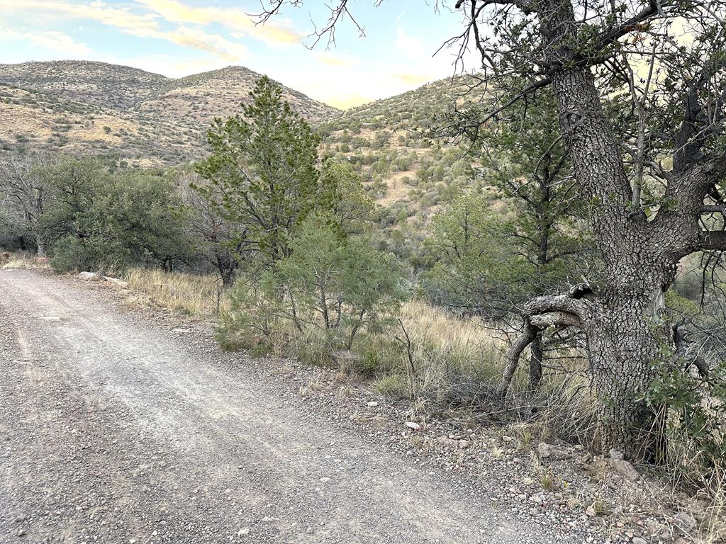 100 Tejano Canyon, Fort Davis, Texas image 2