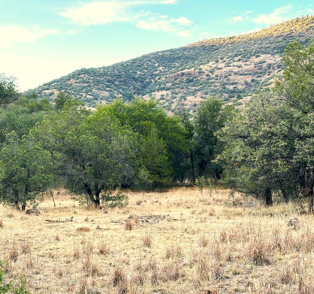 100 Tejano Canyon, Fort Davis, Texas image 1