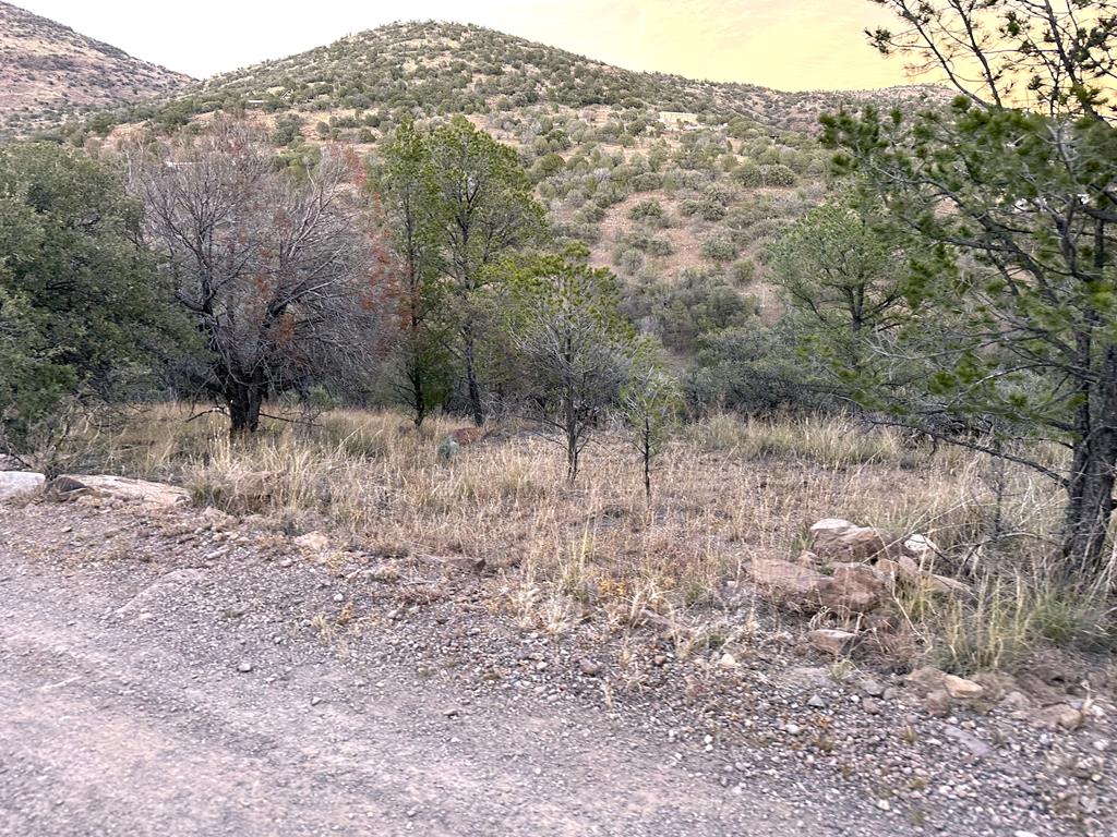 100 Tejano Canyon, Fort Davis, Texas image 3