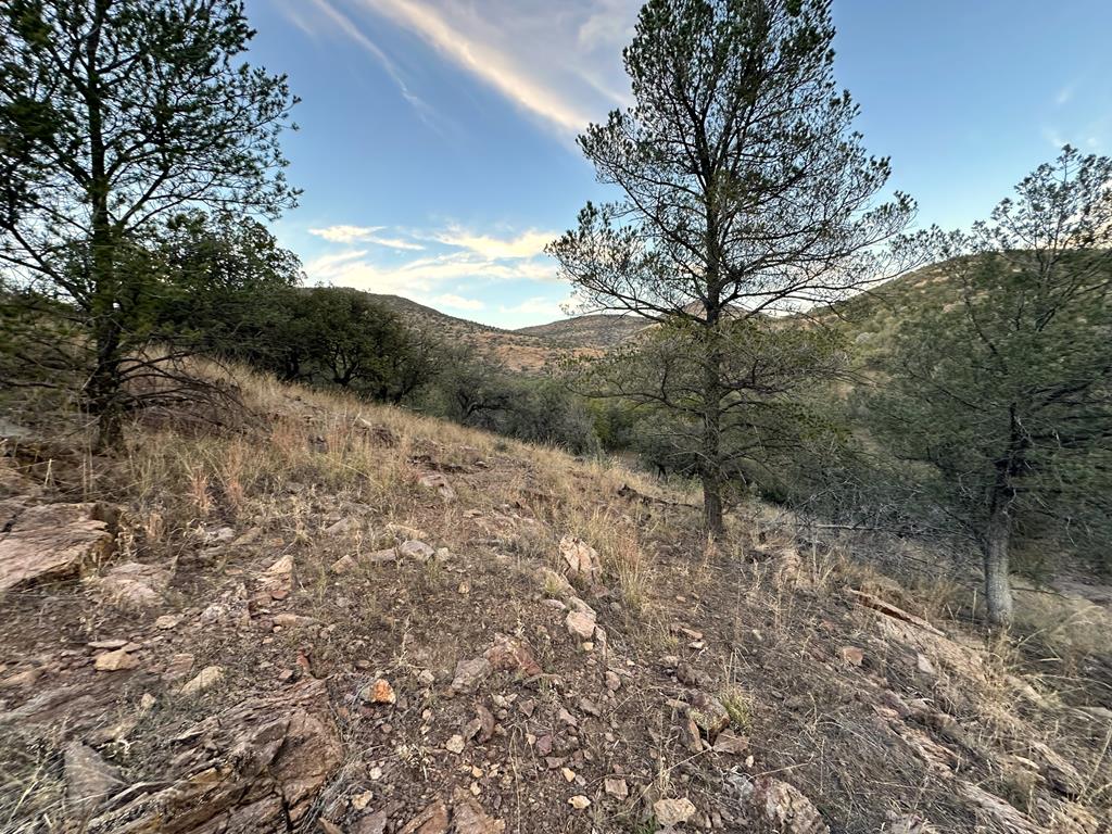 100 Tejano Canyon, Fort Davis, Texas image 4