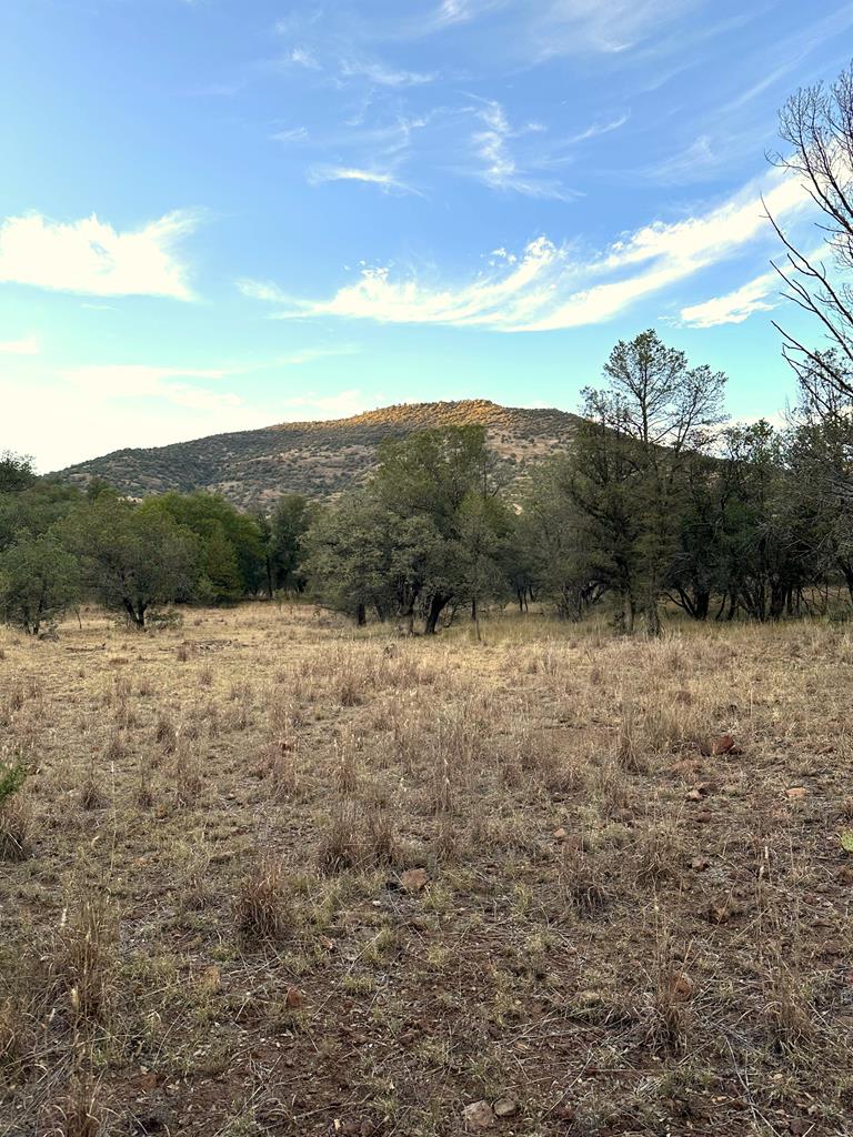 100 Tejano Canyon, Fort Davis, Texas image 5