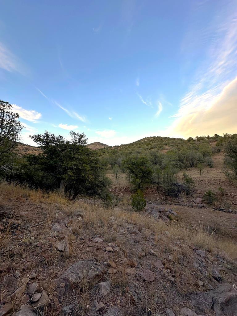 100 Tejano Canyon, Fort Davis, Texas image 11