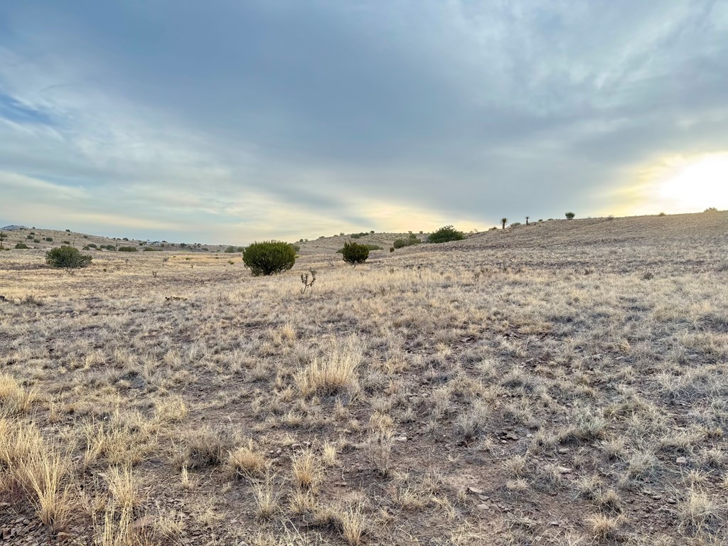 TBD Spring Creek Road, Alpine, Texas image 3