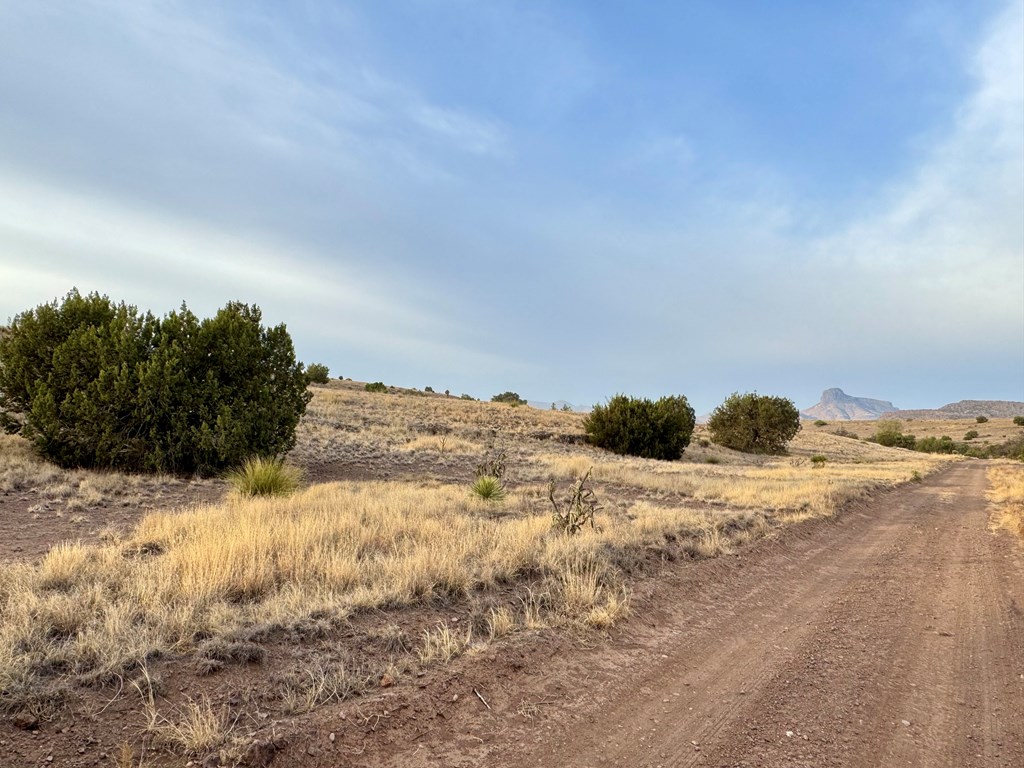 TBD Spring Creek Road, Alpine, Texas image 6