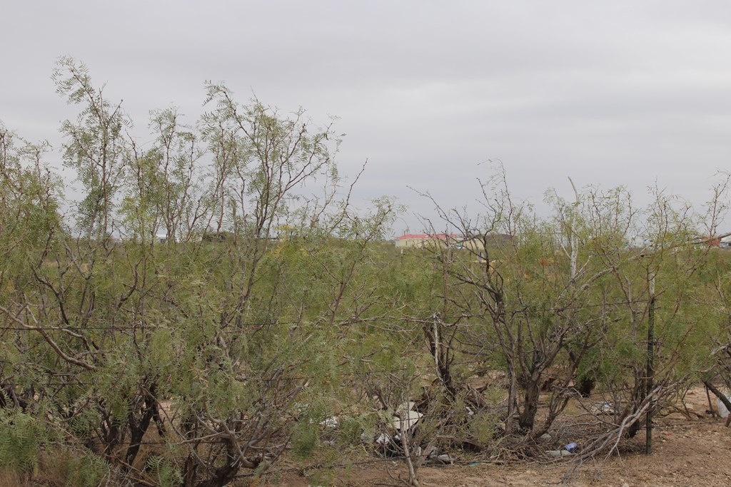 Fm 866, Odessa, Texas image 2