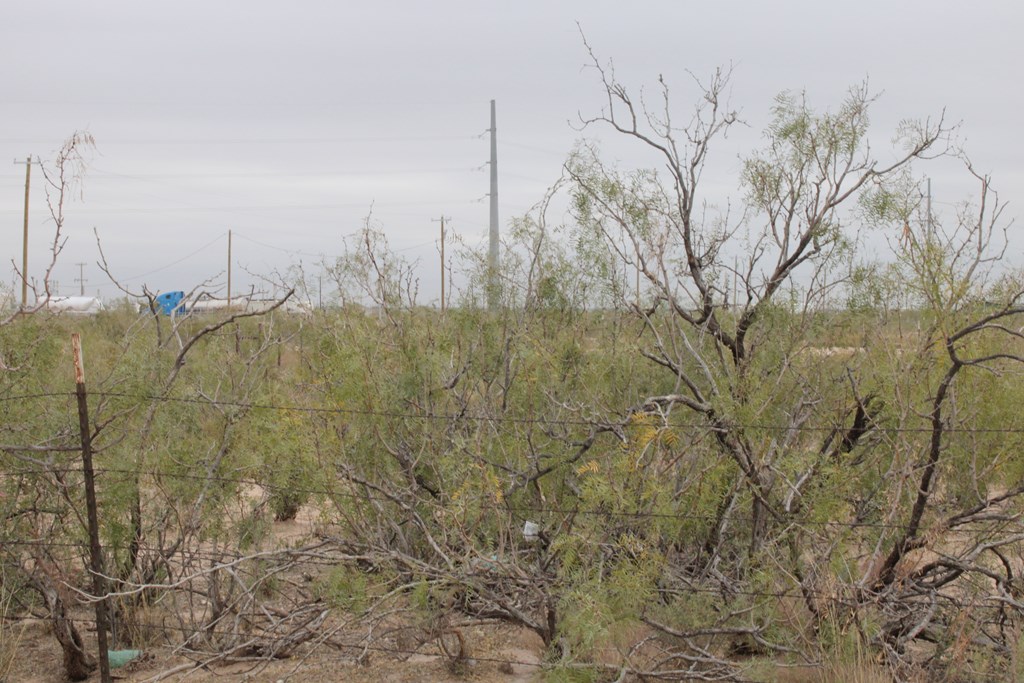 Fm 866, Odessa, Texas image 3