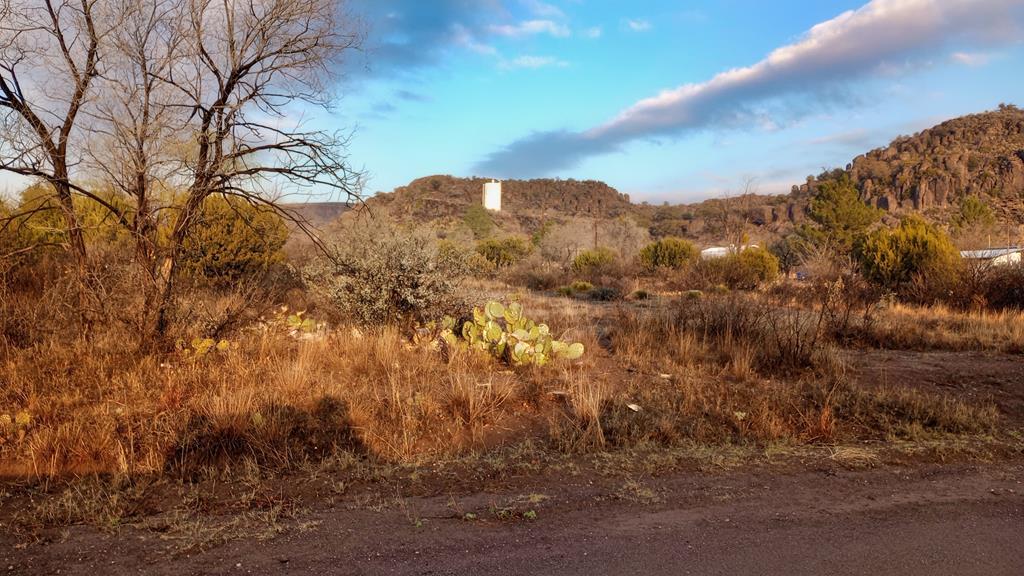 203 Buckeye, Fort Davis, Texas image 2