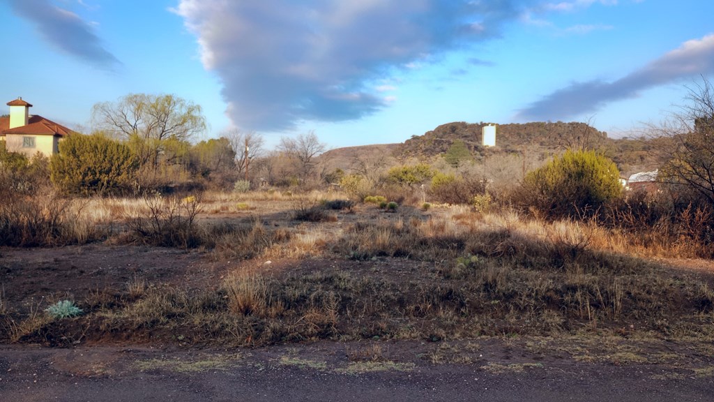 203 Buckeye, Fort Davis, Texas image 4