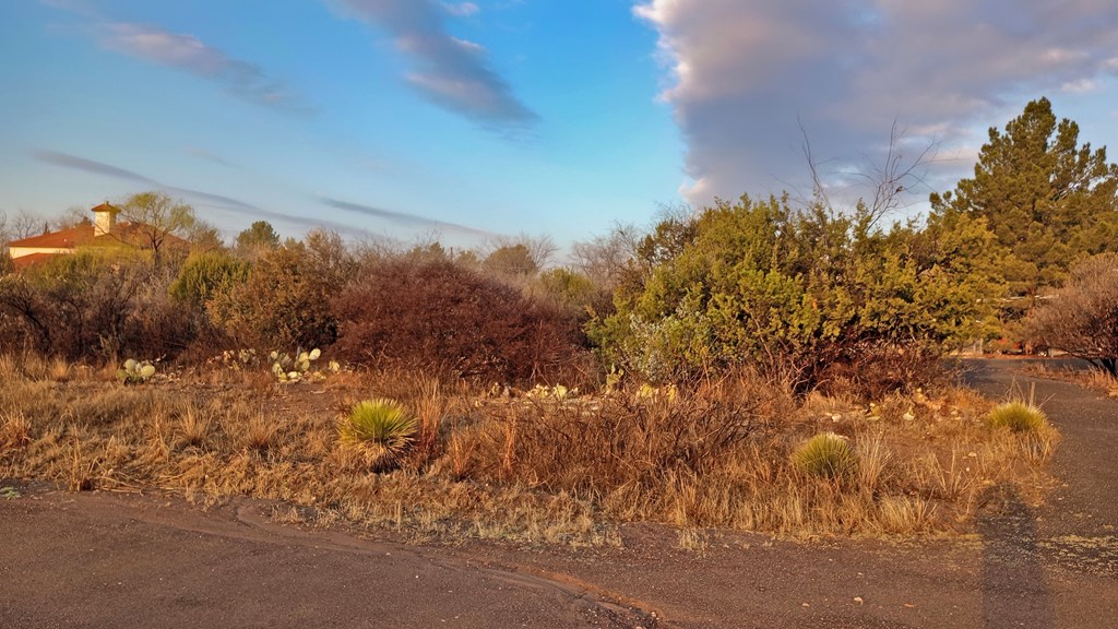 203 Buckeye, Fort Davis, Texas image 6