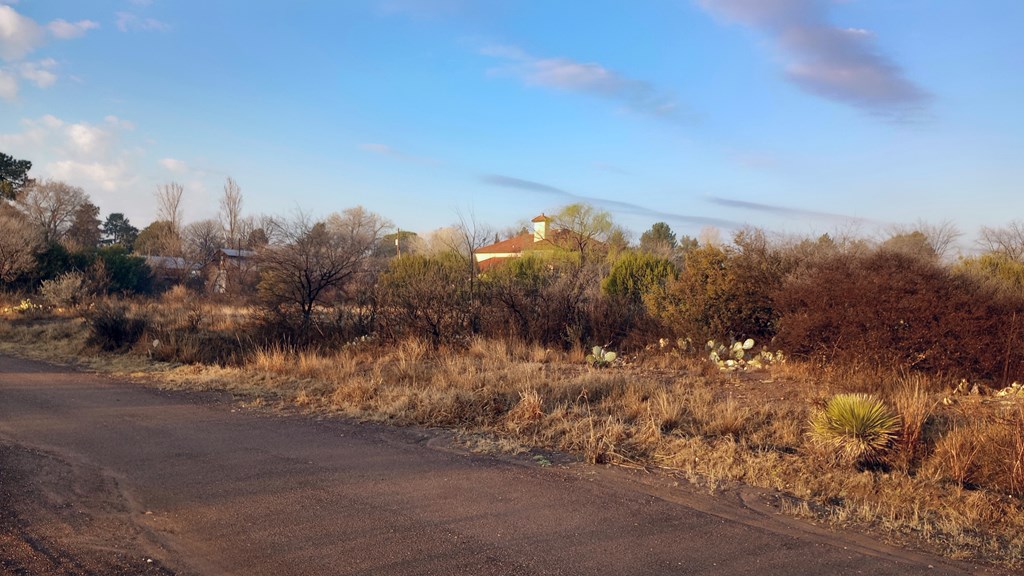 203 Buckeye, Fort Davis, Texas image 8