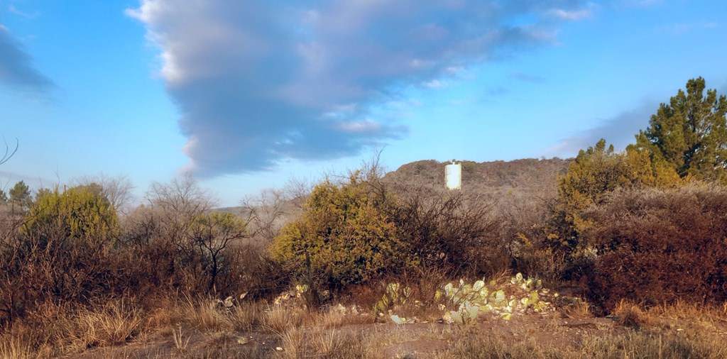 203 Buckeye, Fort Davis, Texas image 5