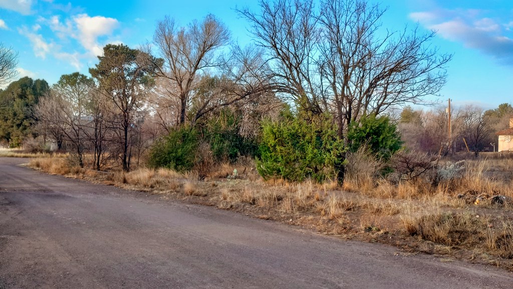 203 Buckeye, Fort Davis, Texas image 3