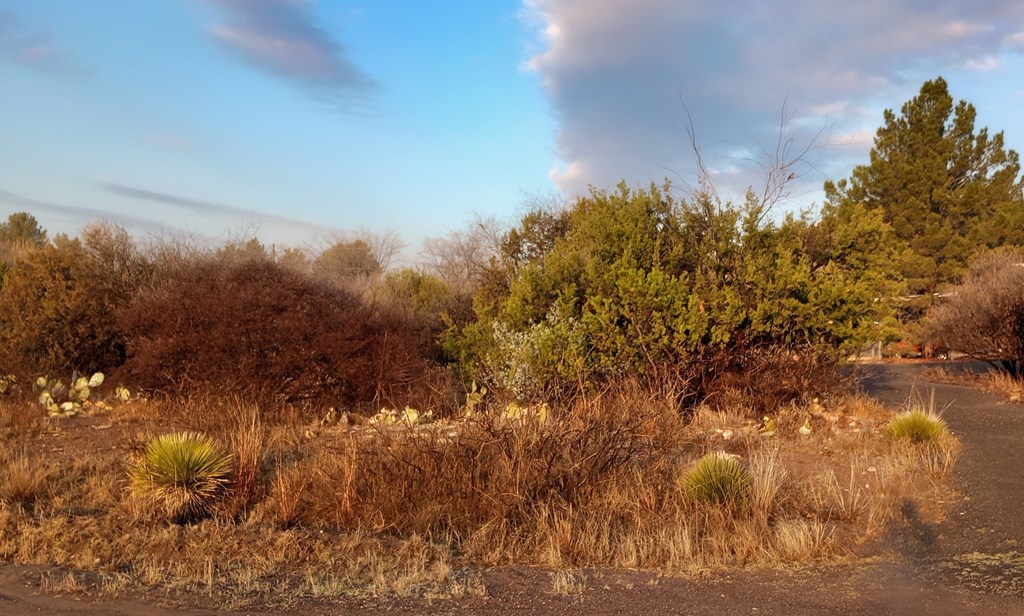 203 Buckeye, Fort Davis, Texas image 7