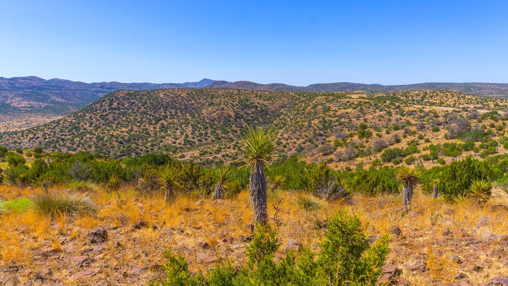 3 Dark Sky Drive, Alpine, Texas image 3