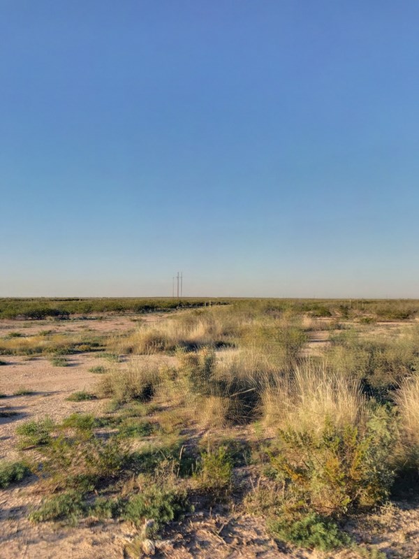 10 Acres County Rd 2545 Road, Coyanosa, Texas image 6