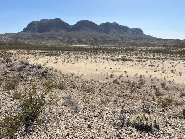 20784 Cougar Way, Alpine, Texas image 7