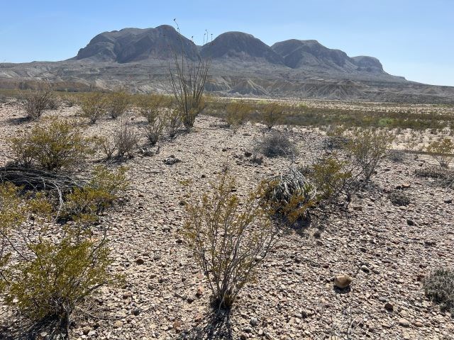 20784 Cougar Way, Alpine, Texas image 15