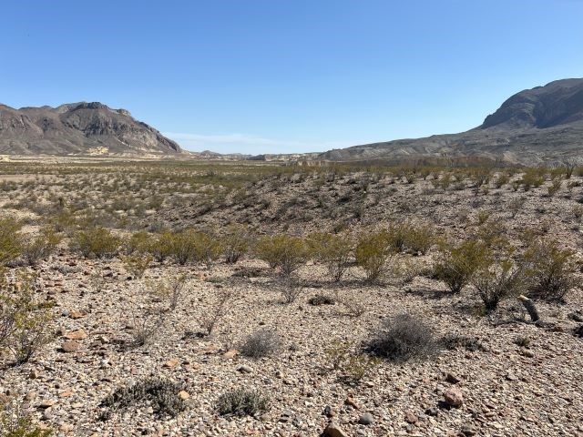 20784 Cougar Way, Alpine, Texas image 13