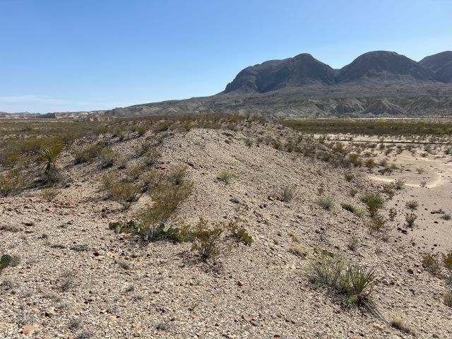 20784 Cougar Way, Alpine, Texas image 8