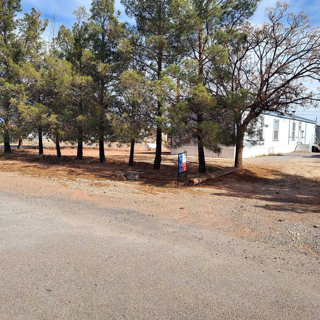 606 Eisenhower Rd, Van Horn, Texas image 1