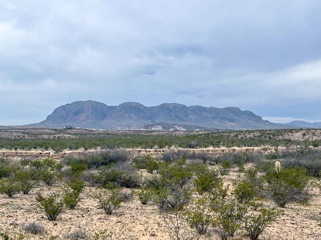 2500 Agua Fria Road, Terlingua, Texas image 24