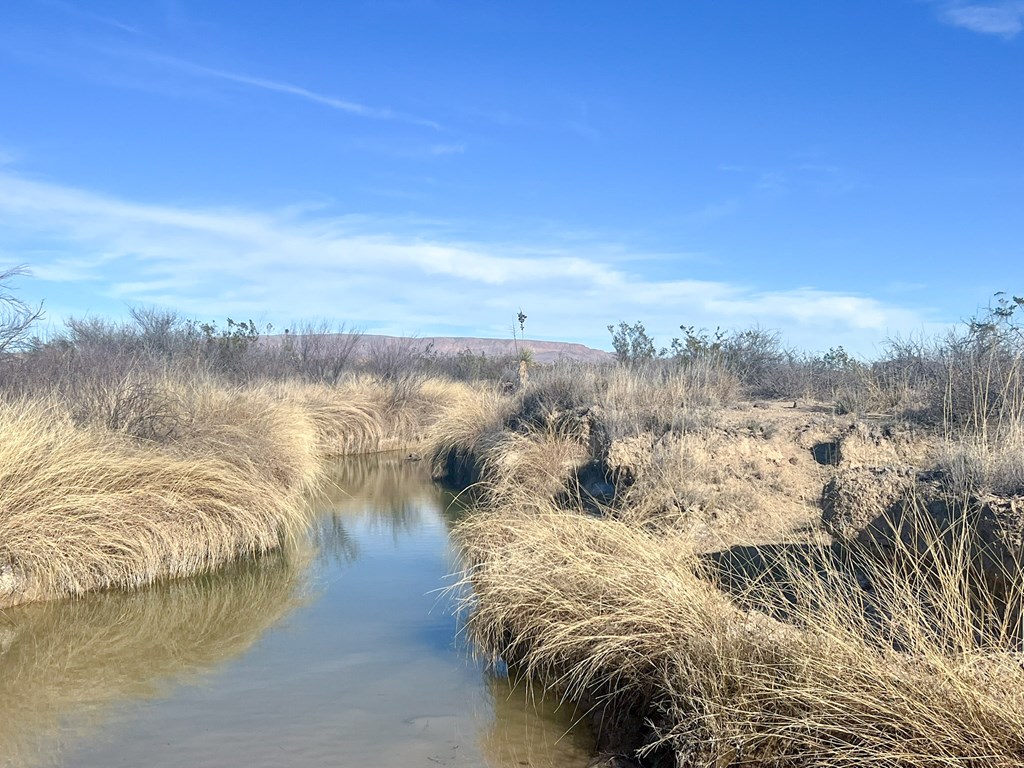 2500 Agua Fria Road, Terlingua, Texas image 8