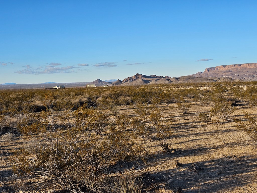 NC 863 War Zone Rd, Terlingua, Texas image 13