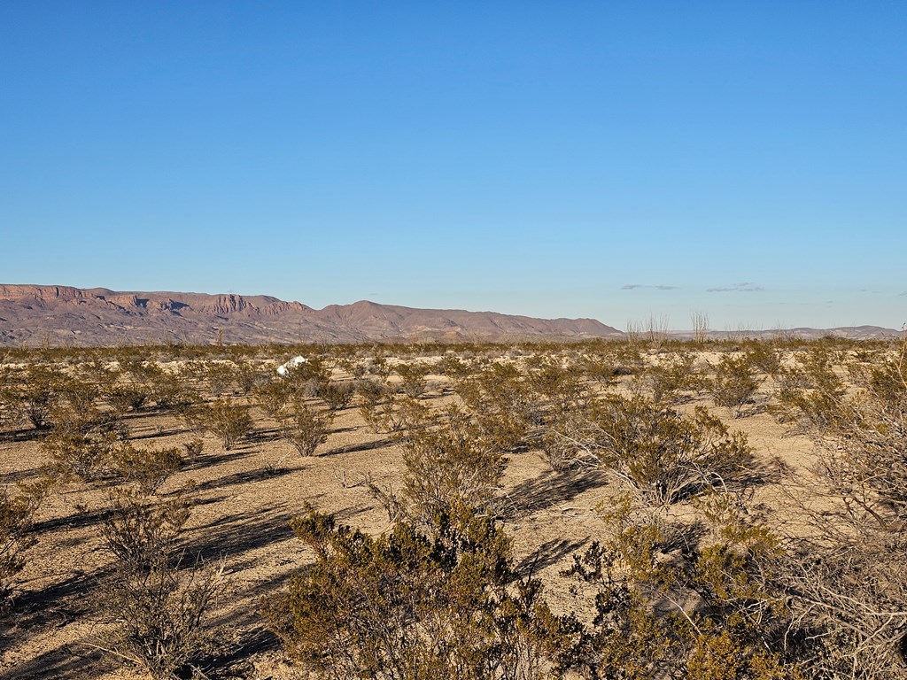 NC 863 War Zone Rd, Terlingua, Texas image 7