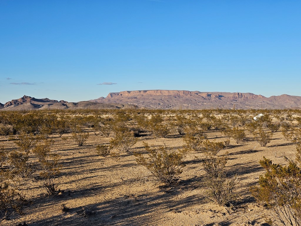 NC 863 War Zone Rd, Terlingua, Texas image 14